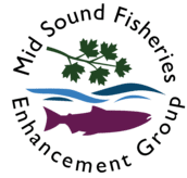 Mid Sound Fisheries Enhancement Group