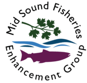 Mid Sound Fisheries Enhancement Group Logo 